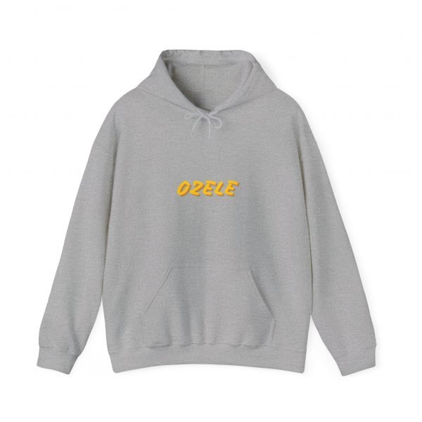 Sudadera OZELE GRIS